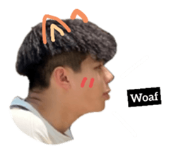 391077630