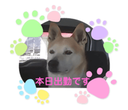 391158066