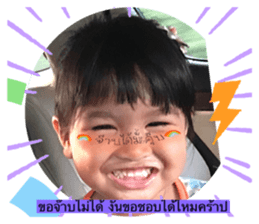 391202261