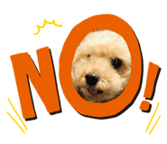 391259235
