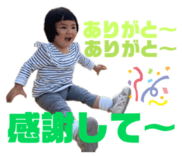 391279443