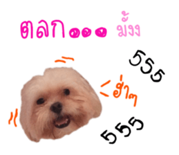 391455616