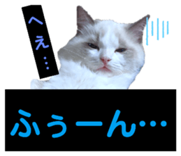 391504276