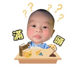 391508494