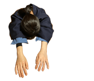 391526236