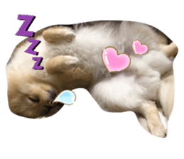 391541345