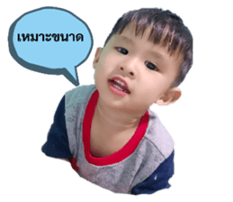 391555156