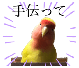 391717045