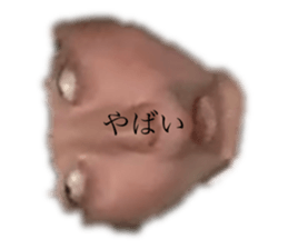 391734596