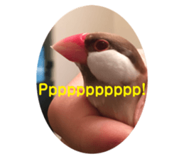 391748554