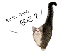 391791177