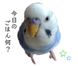 391791998