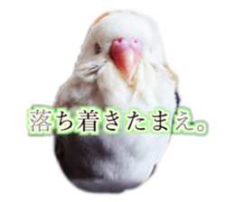 391794671