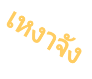 39194137