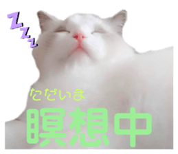 391995255