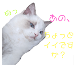 391995270
