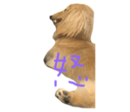 392002242