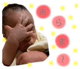 392004934