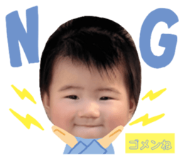 392012080