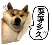 39201449