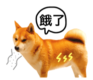 39201450