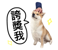 39201457