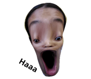 39201544