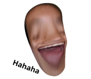 39201548
