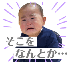392016449