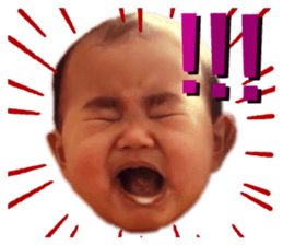 392016453