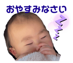 392016467