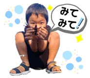392022552