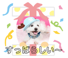 392045371