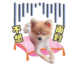 392132685