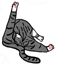 392154320