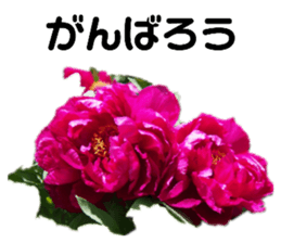 392202884