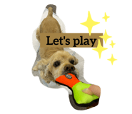 392205409