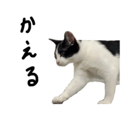 392219323