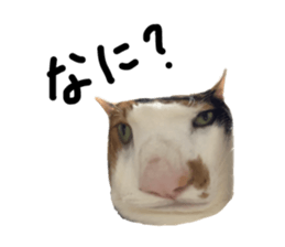 392219324