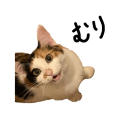 392219335