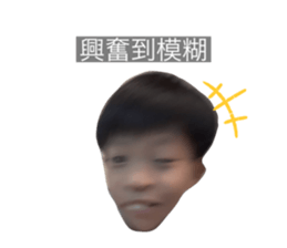 392264561