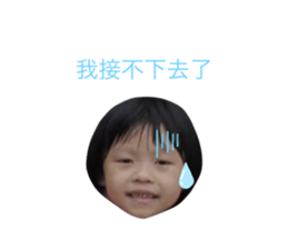 392264568
