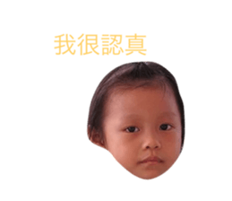 392264571
