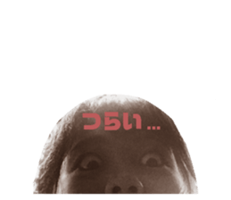 392279235