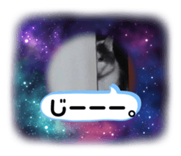 392279864