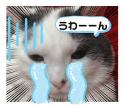 392279892