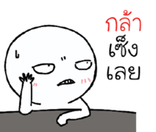 39230520