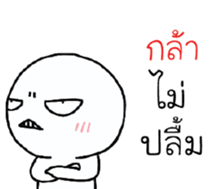 39230540