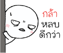 39230549