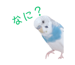 392329896